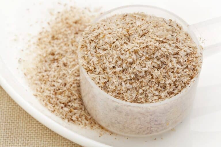 Psyllium : bienfaits et mode d’emploi